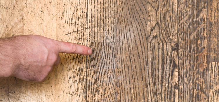 Wood Door Scratch Repair in Boca Raton
